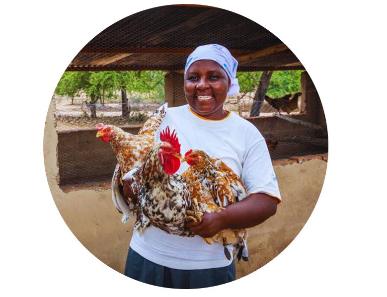 Farmer Training &amp; Poultry Support